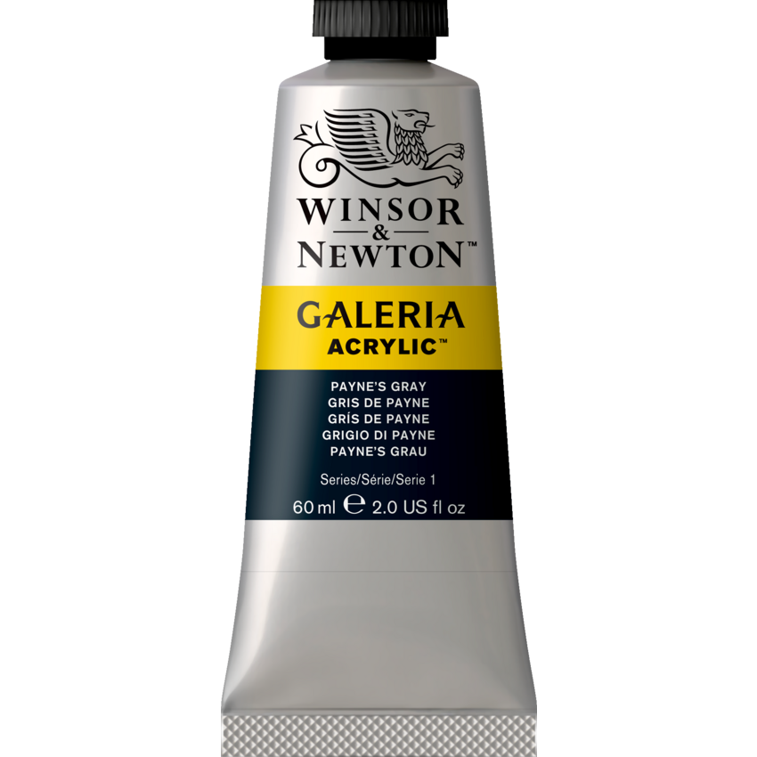 Winsor & Newton® Galeria Acrylic Paint Payne's Grey 60 mL