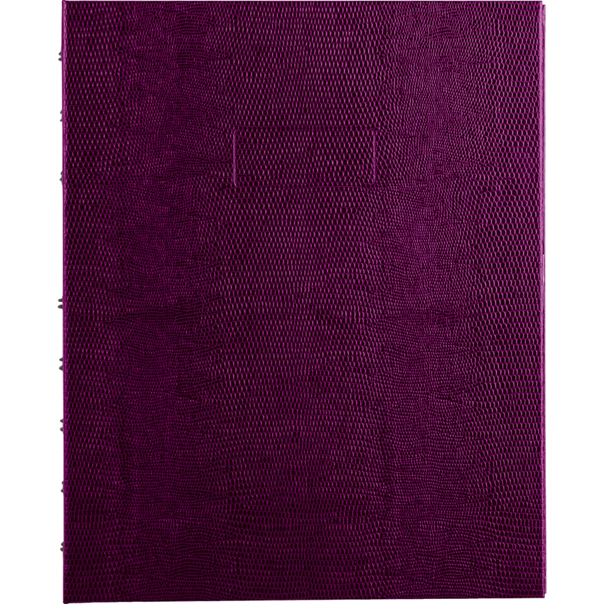 Blueline® NotePro™ Notebook 9-1/4" x 7-1/4" 150 pages Grape