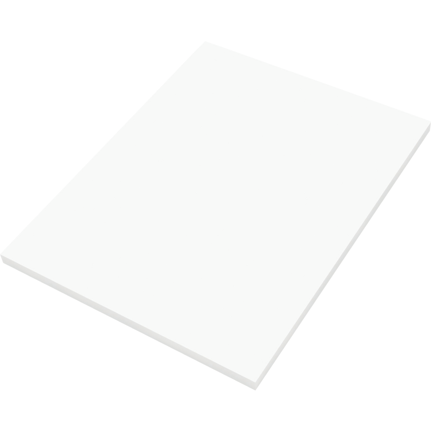 Davis Group Legal Supplies Trial Back Plain 8-1/2" x 11” White 50/pkg